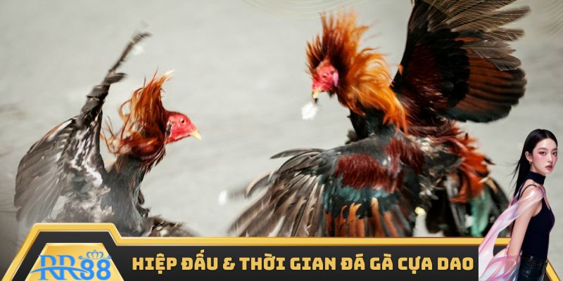 Hiệp đấu và thời gian được quy định rõ ràng